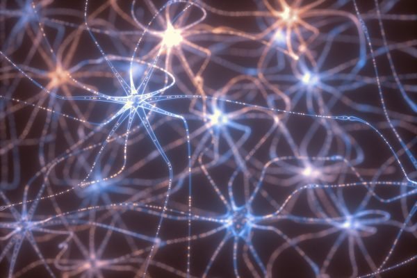 Neurons Electrical Pulses Neurons Electrical Pulses